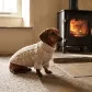 The Bothy Jumper worn outdoors