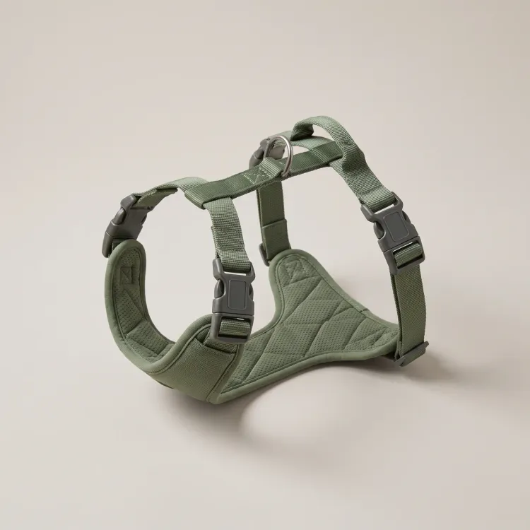 The Ridge Harness in Moss