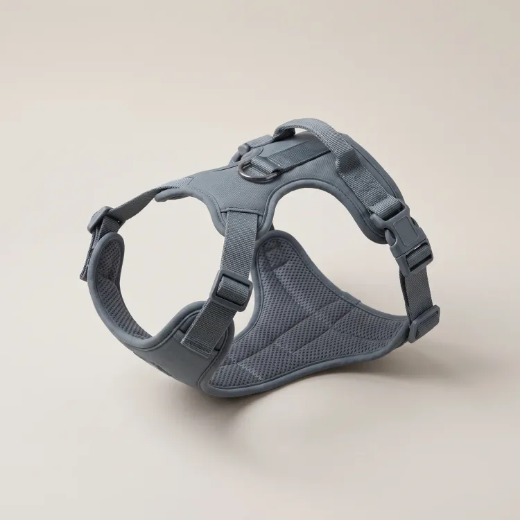 The Ridge Harness in Slate